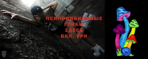 молекула духа Нязепетровск