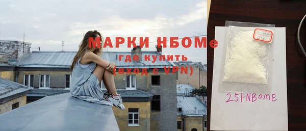 сатива Няндома