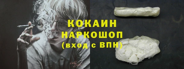 молекула духа Нязепетровск