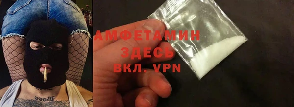сатива Няндома