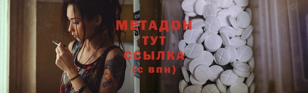 сатива Няндома