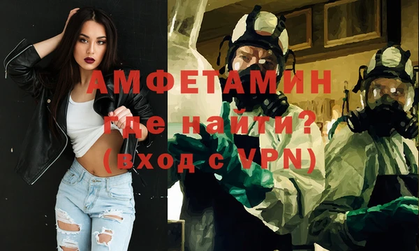 сатива Няндома
