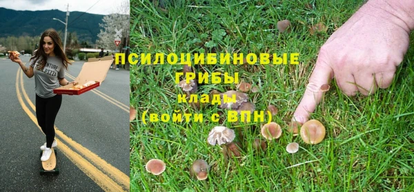 каннабис Новозыбков
