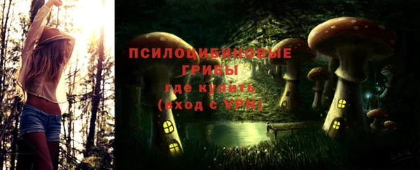 сатива Няндома