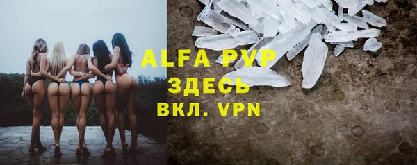 сатива Няндома
