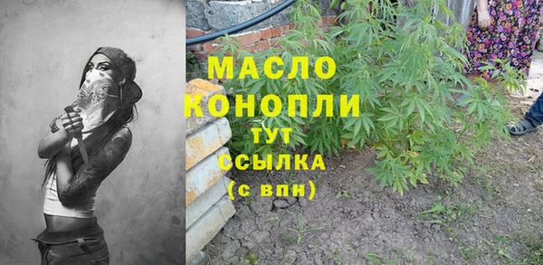 молекула духа Нязепетровск