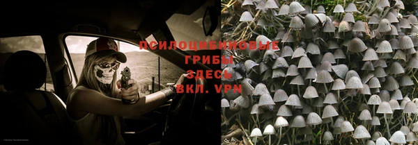 молекула духа Нязепетровск