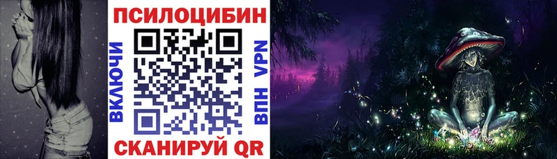 наркотики  блэк спрут tor  Псилоцибиновые грибы Cubensis  Лакинск 